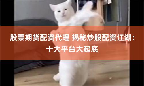 股票期货配资代理 揭秘炒股配资江湖：十大平台大起底